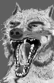Snapping Wolf - Artwork by Doug Peters
